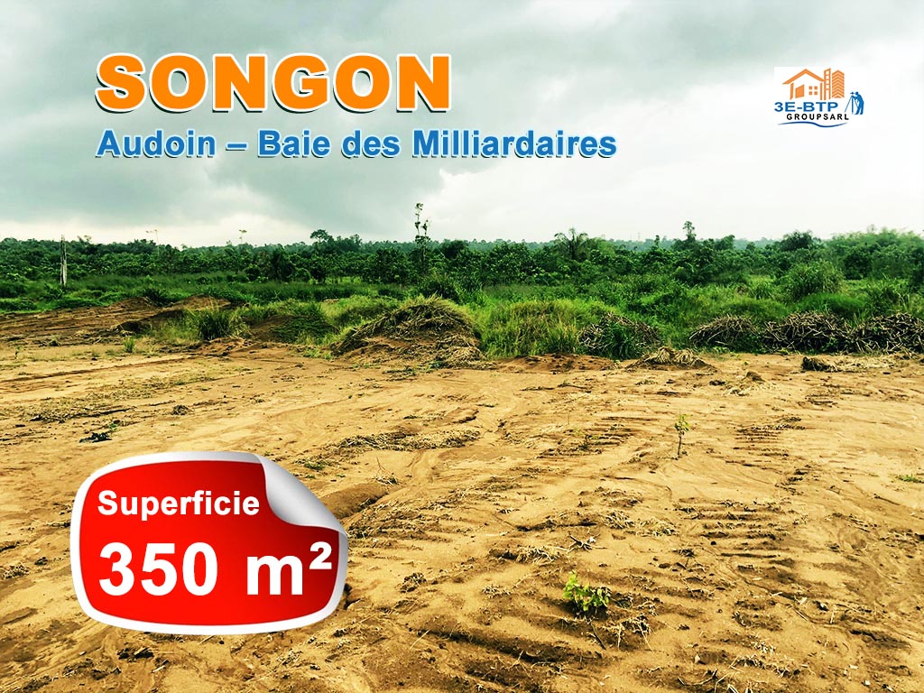 VISUEL DETAILLE ACCUEIL